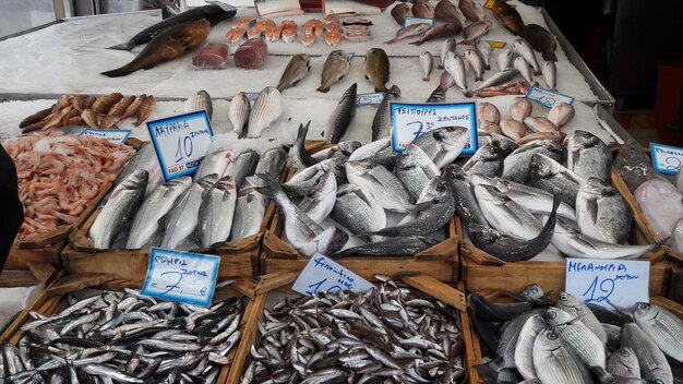 Foto diversi pesci in vendita al mercato