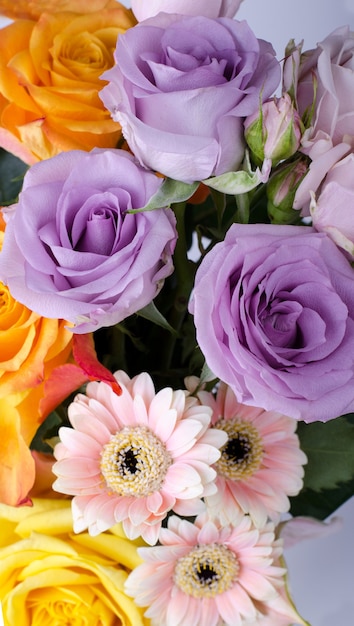 다양한 꽃다발. 핑크 거베라와 부드러운 라일락 장미는 꽃 배경을 닫습니다.