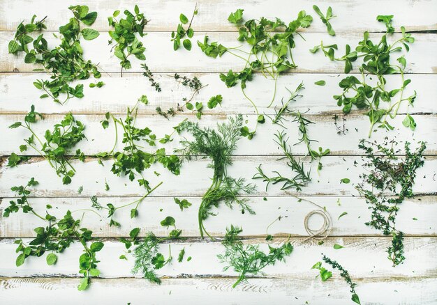 Various fresh green kitchen herbs