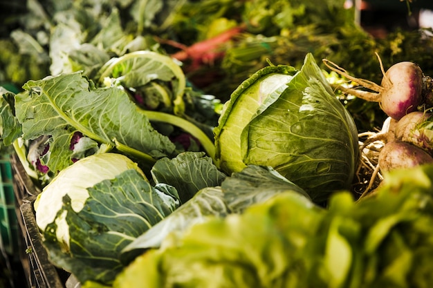 Various fresh vegetable for sale at grocery store market