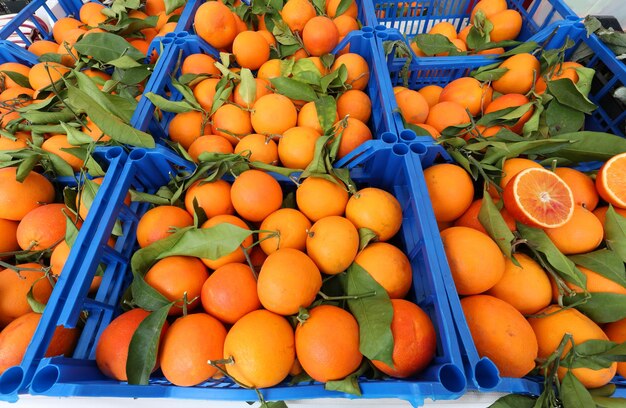 Various fruits for sale at market stall