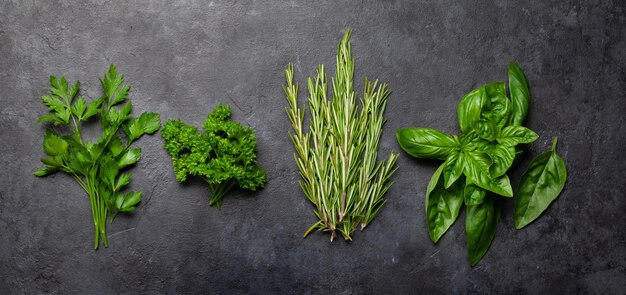 Various garden herbs