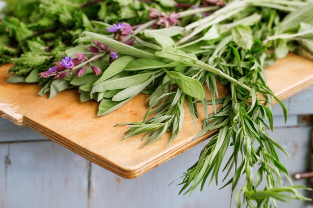 Various of garden herbs