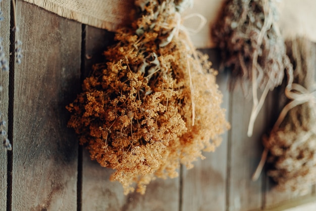 Various herbs hang to dry on a wooden wall