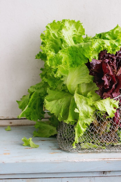 Various of leaf salad