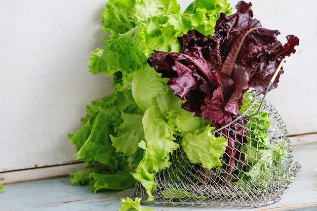 Various of leaf salad