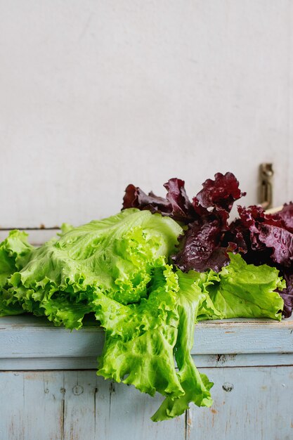 Photo various of leaf salad