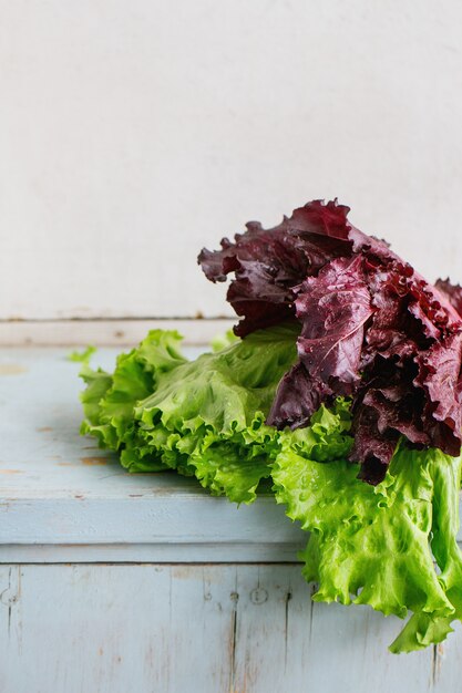 Various of leaf salad