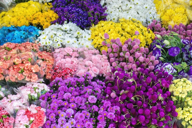 Various plants and flowers in a flower shop