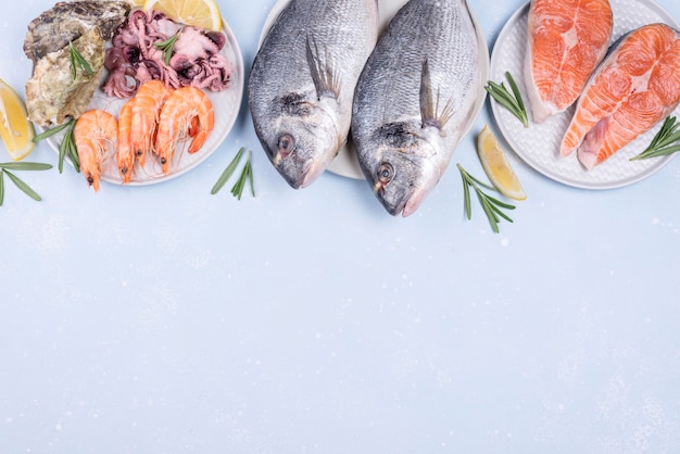 Various plates filled with seafood copy space