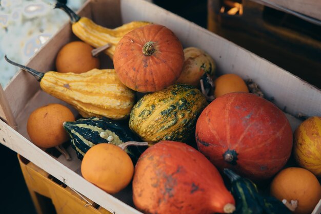 Various pumpkins in a wooden box autumn harvest