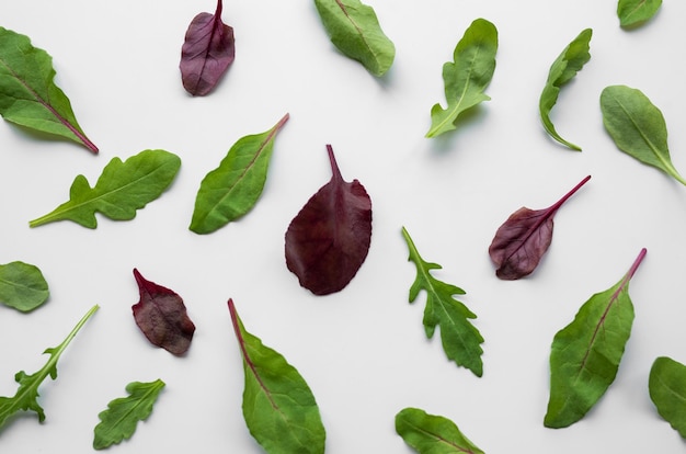 Photo various salad leaves on white background