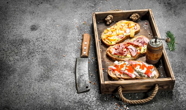 Various sandwiches with seafood, meat and vegetables onn old tray on rustic table.