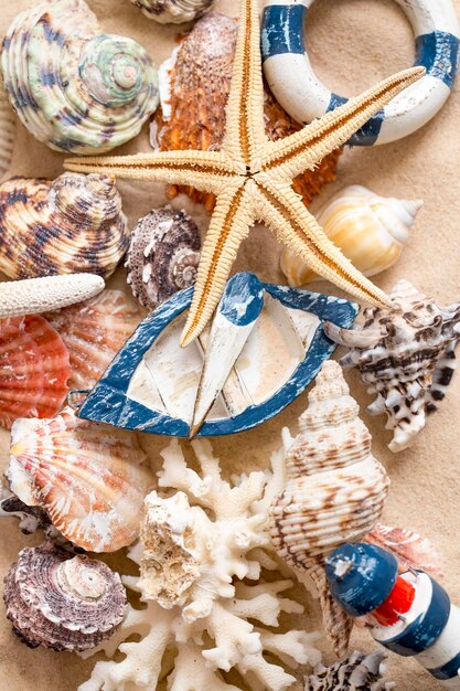 Various sea shells, concept, design, photo, background