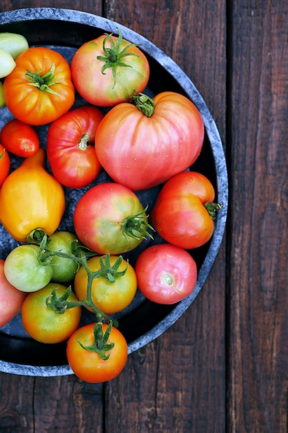 Various shapes and colors of tomatoes in metal plate