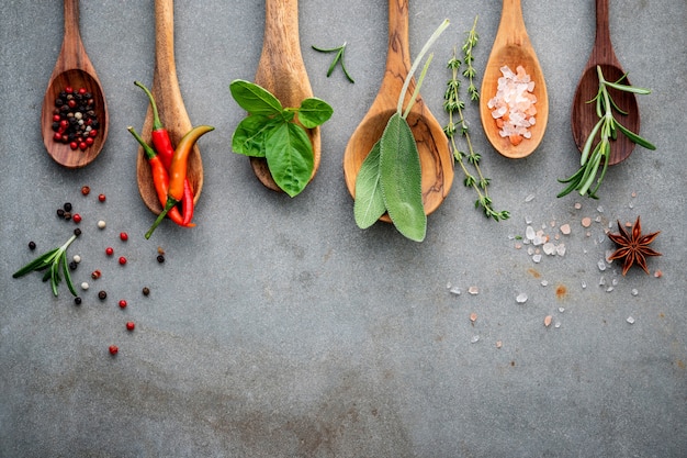 Various of spices and herbs in wooden spoons. 