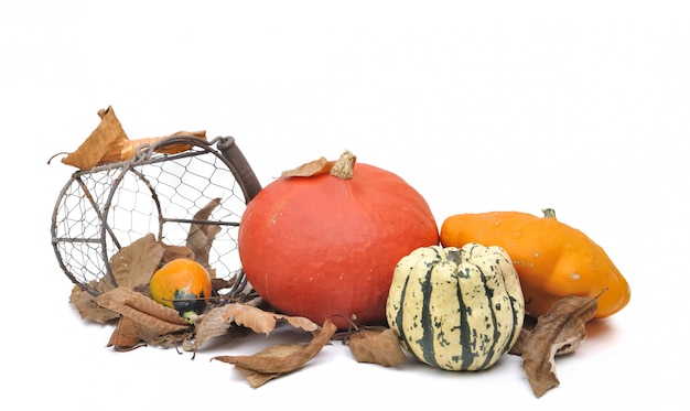 Various squashes