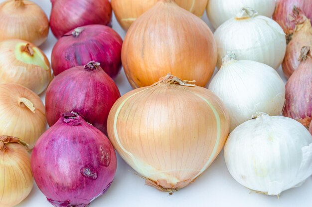 Various types of onion on white background