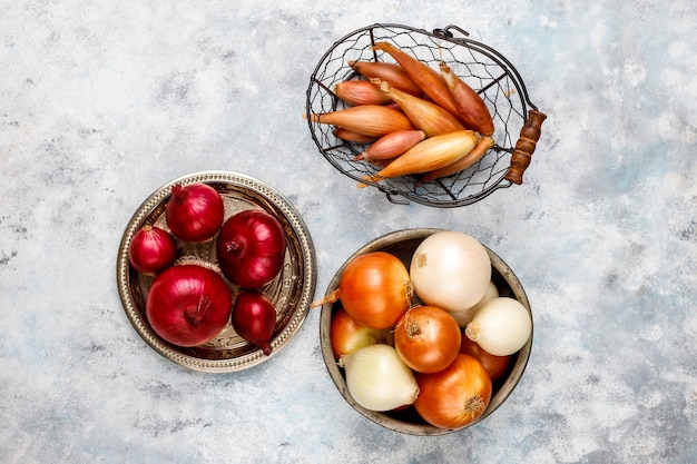 Various types of onions red, white, yellow, shallot 