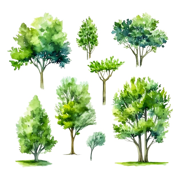 Photo various watercolor green trees isolated on white background