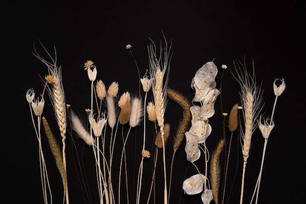 Various yellow dried wildflowers on black table Top view flat lay