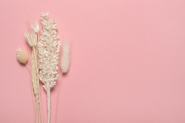 Various yellow dried wildflowers on pink table. Top view