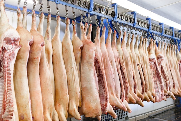 Varkenskarkassen gehalveerd opgeslagen in de koelkast van de voedselverwerkingsfabriek.