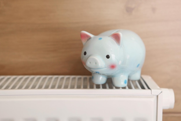 Foto varkensspaarvarken op een radiator binnenshuis close-up verwarmingsconcept