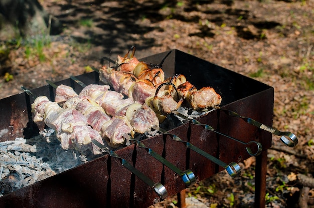 Varkensvlees Chop Gekookt Op De Barbecue Grill