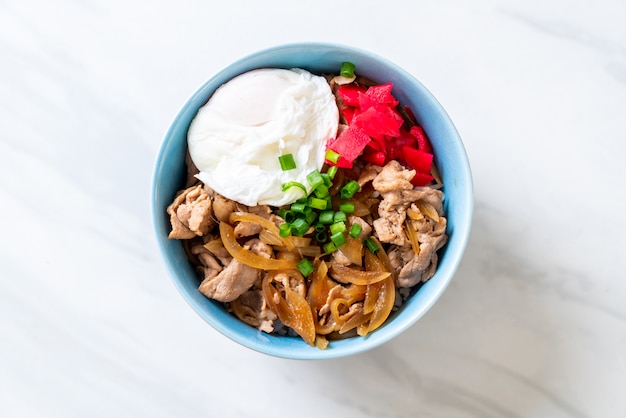 varkensvlees rijstkom met ei (Donburi) - Japans eten