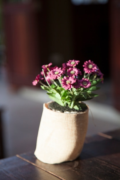 Vase of flowers