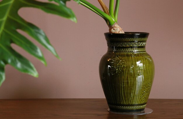 Foto vase in de kamer.