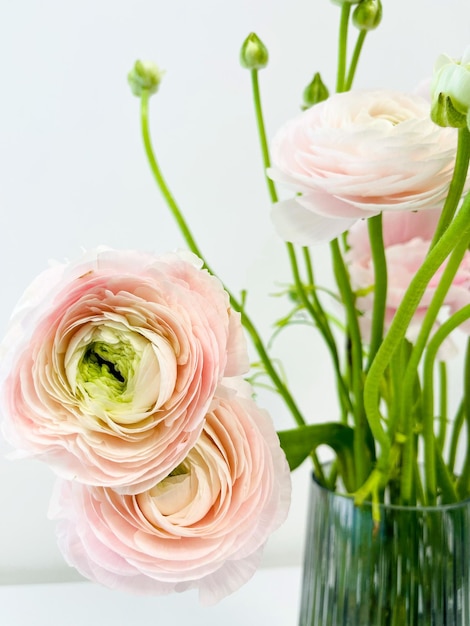 Foto un vaso di fiori rosa con steli verdi