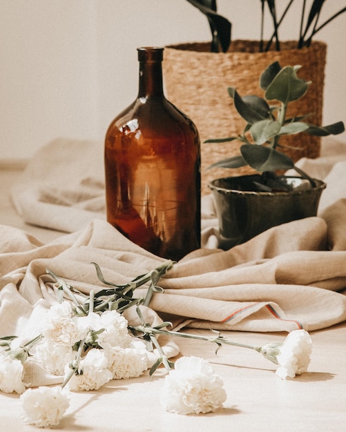 A vase of white flowers sits on a table next to a plant.