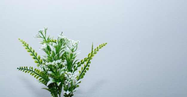 Foto un vaso di fiori bianchi con foglie verdi