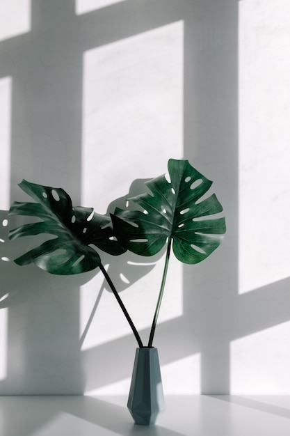 Vase with decorative leaves of the monstera plant on a white table with a shadow from the window.