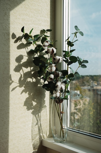 The vase with dried plants plants and cotton stalks in a vase on the window