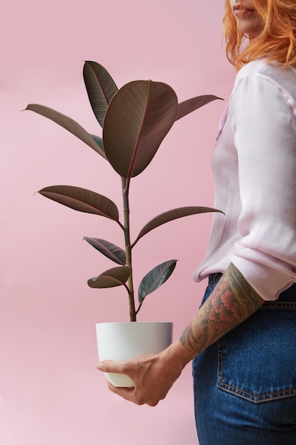 Vaso con ficus. una donna con un tatuaggio sulle mani tiene in mano un fiore su uno sfondo rosa. concetto di negozio di fiori