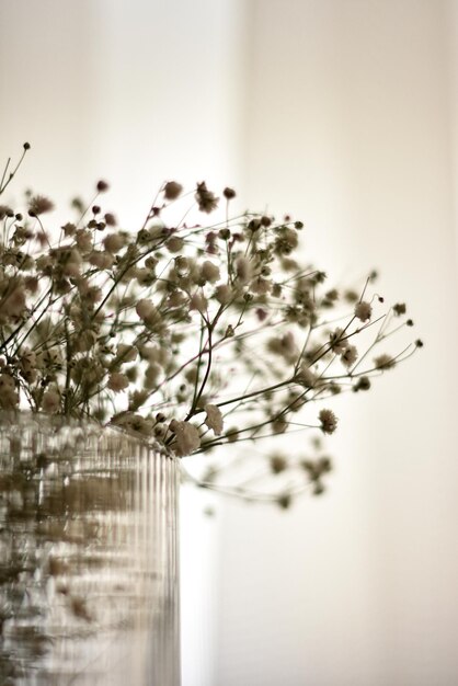 Photo a vase with flowers in it and a white background