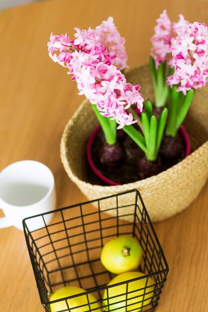 Vase with hyacinth, lemon and white cup stand on the table