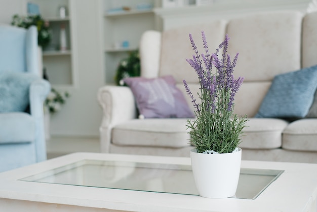 Foto vaso con fiori di lavanda nell'arredamento interno del soggiorno in colori chiari con colore blu