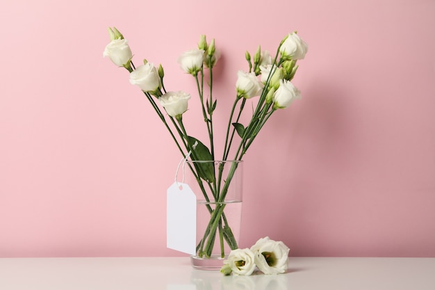 Vase with roses and blank tag against pink background