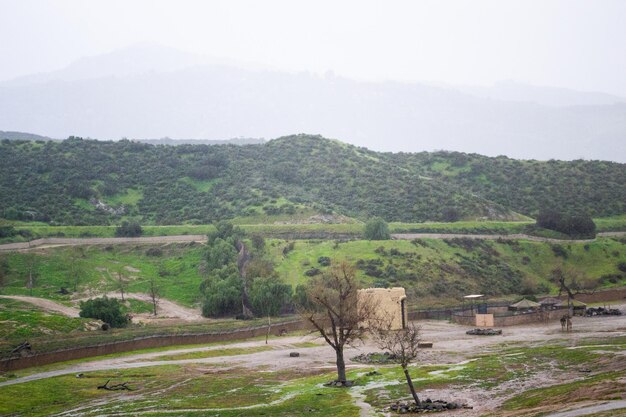 Vast green landscape trees mountains cloudy raining