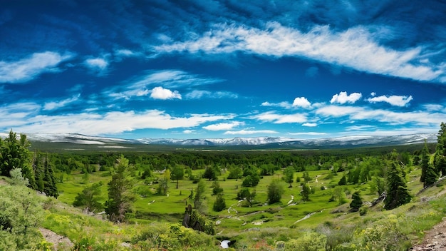 Vast green valley with a blue sky during daytime