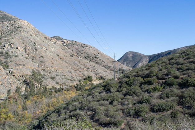 Vast mountain landscape nature plants