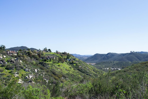 Vast mountain landscape nature plants