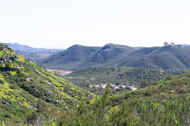 Vast mountain landscape nature plants