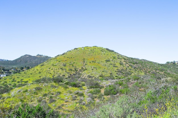 Photo vast mountain landscape nature plants