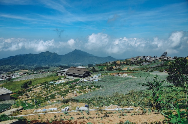 山腹の広大な野菜畑