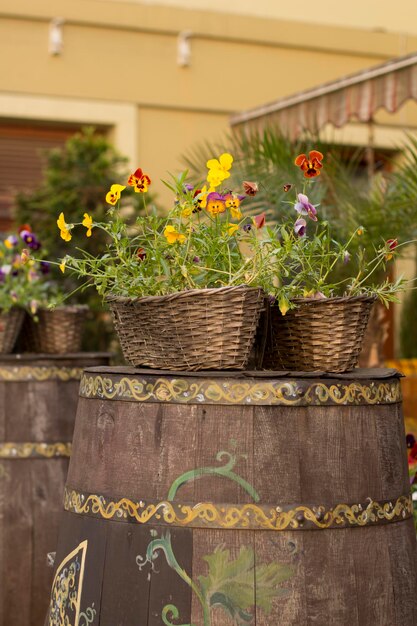 Vat met bloemen in de buurt van café aan de straat